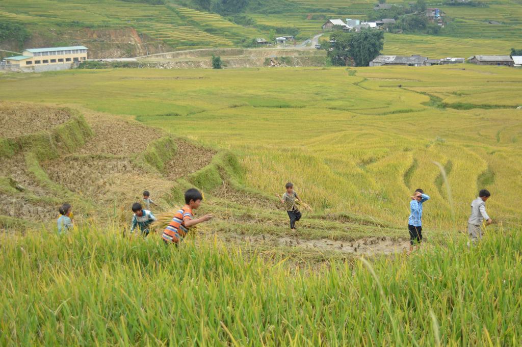 Cau May Homestay Sapa Dış mekan fotoğraf