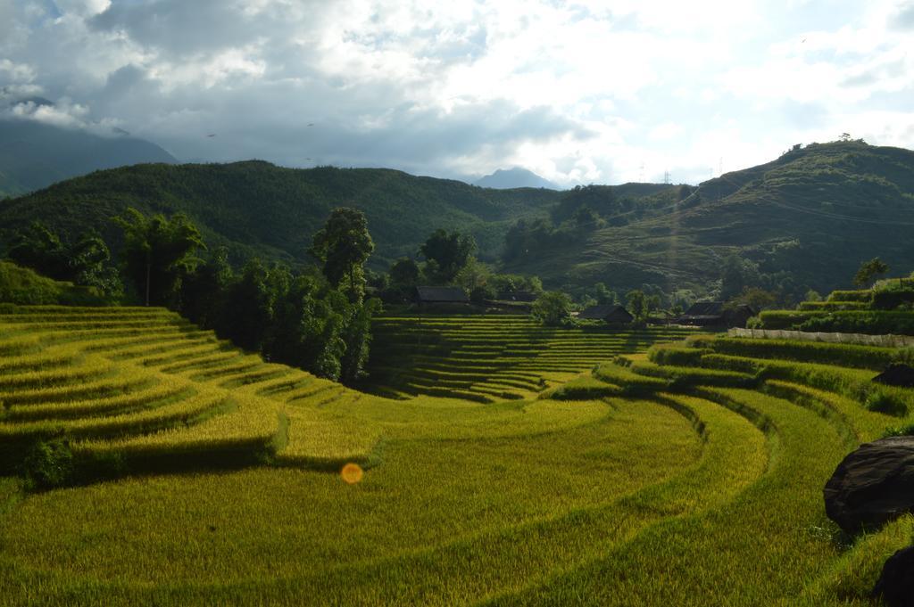 Cau May Homestay Sapa Dış mekan fotoğraf