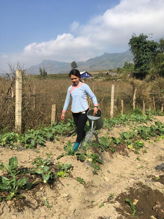 Cau May Homestay Sapa Dış mekan fotoğraf