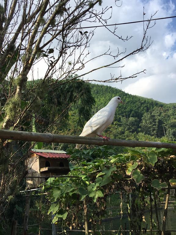 Cau May Homestay Sapa Dış mekan fotoğraf